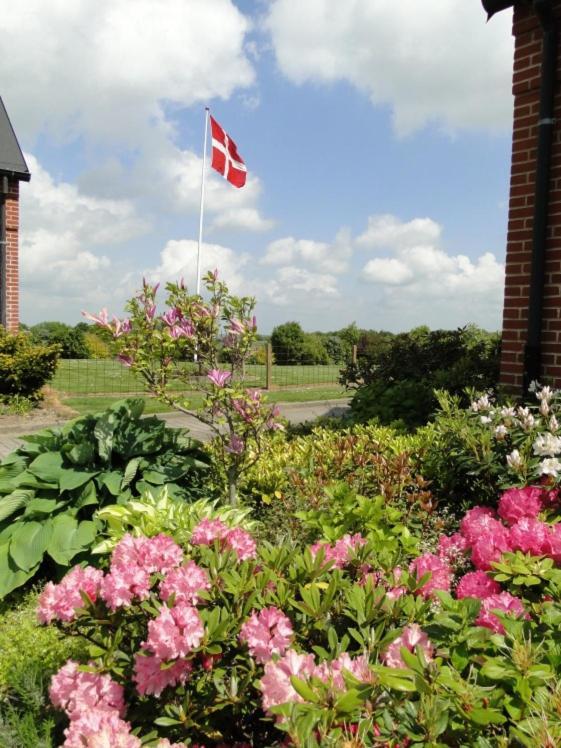 Lyngvej 16 B&B Skanderborg Exterior foto